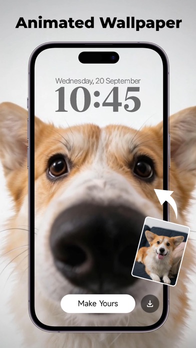 Wink: Video Enhancer & Editor App Store screenshot