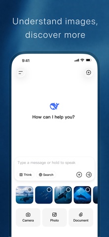 DeepSeek - AI Assistant App Store screenshot