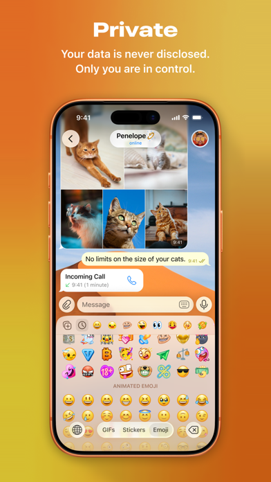 Telegram Messenger App Store screenshot