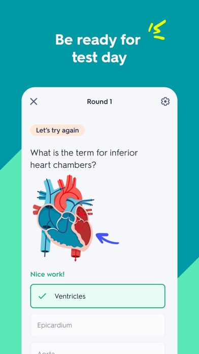Quizlet: More than Flashcards App Store screenshot