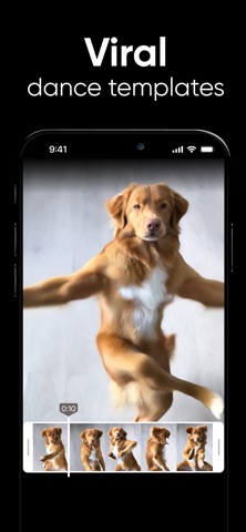 Dance AI - Video Generator App Store screenshot