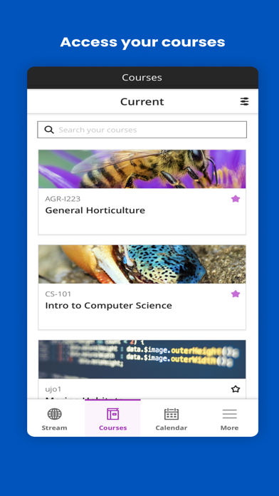Blackboard App Store screenshot