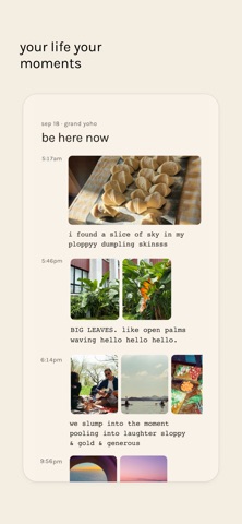 footnotes: notes for noticing App Store screenshot