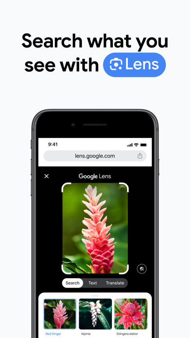 Google Chrome App Store screenshot